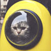 abomitablecat_c